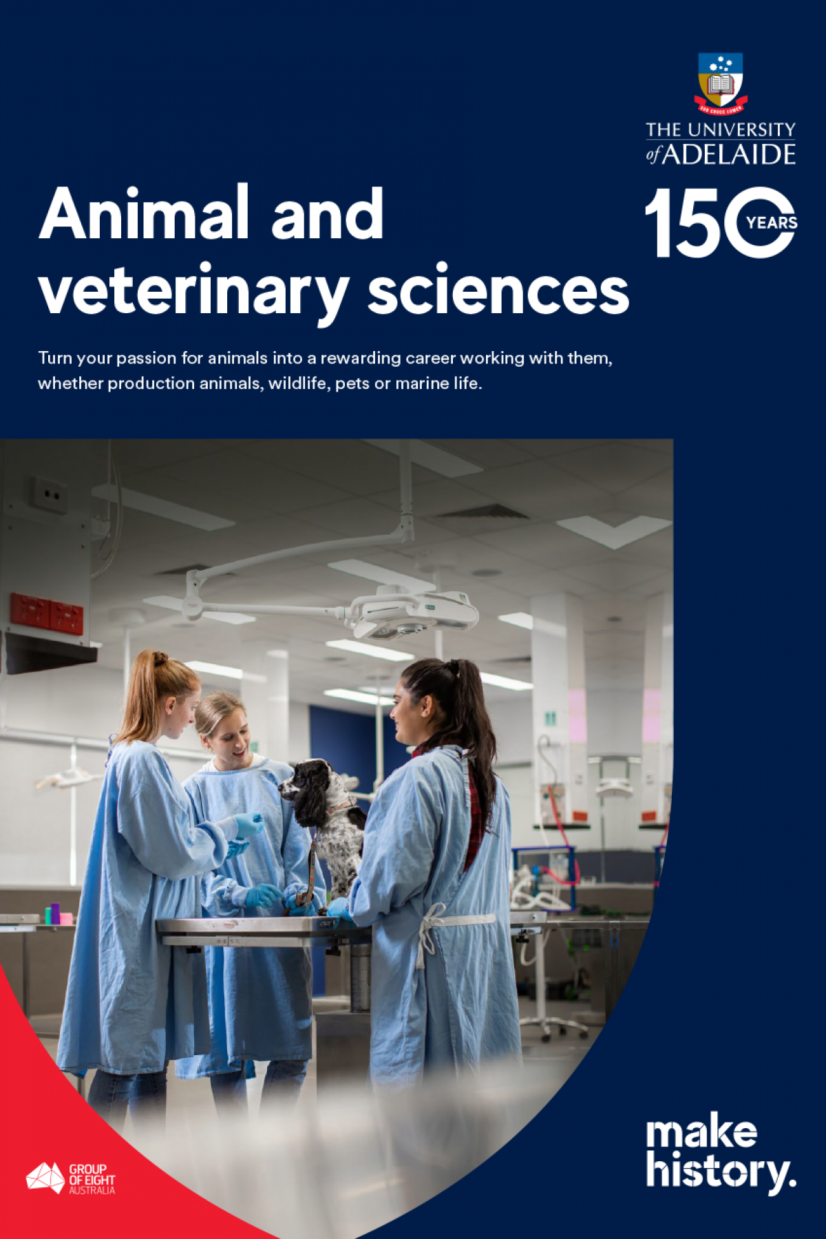 Animal and Veterinary Sciences flyer